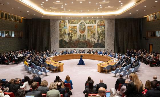 Pakistan, Somalia, Panama, Denmark and Greece elected to UN Security Council